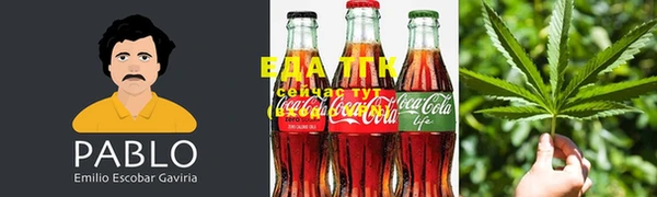 ГАЛЛЮЦИНОГЕННЫЕ ГРИБЫ Белокуриха