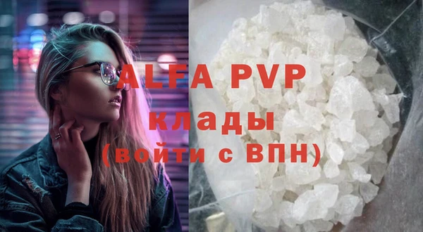 ГАЛЛЮЦИНОГЕННЫЕ ГРИБЫ Белокуриха